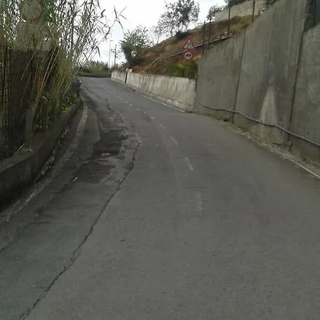 Peiranze144 3*