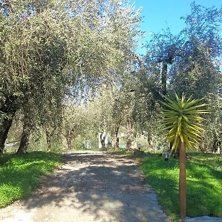 Peiranze144 3*